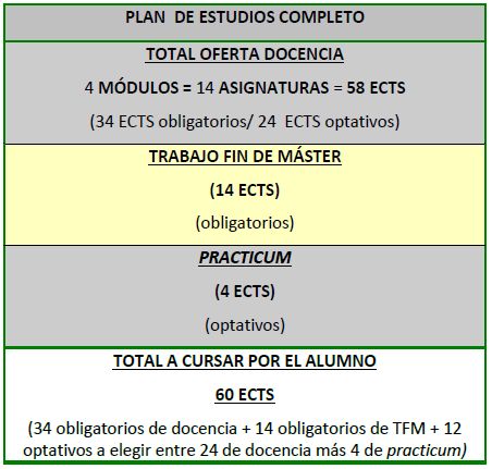 Estructura del Máster en Gestión Cultural: Investigación y Ejercicio Profesional Avanzados