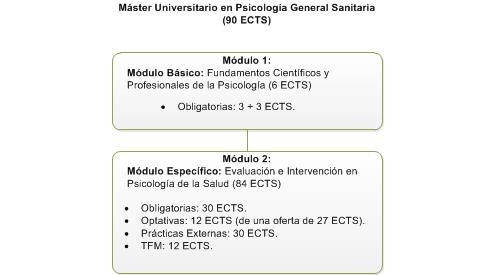 Structure of the Máster en Psicología General Sanitaria