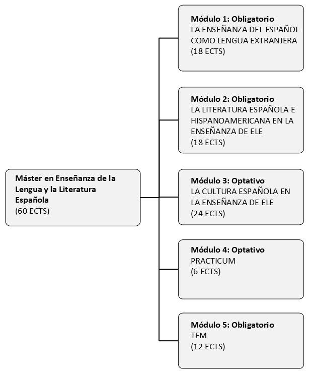 Estructura del Máster en Enseñanza de la Lengua y la Literatura Españolas para Profesorado de Español como Lengua Extranjera